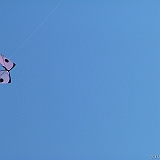 Penvins-festival -2006 -0331